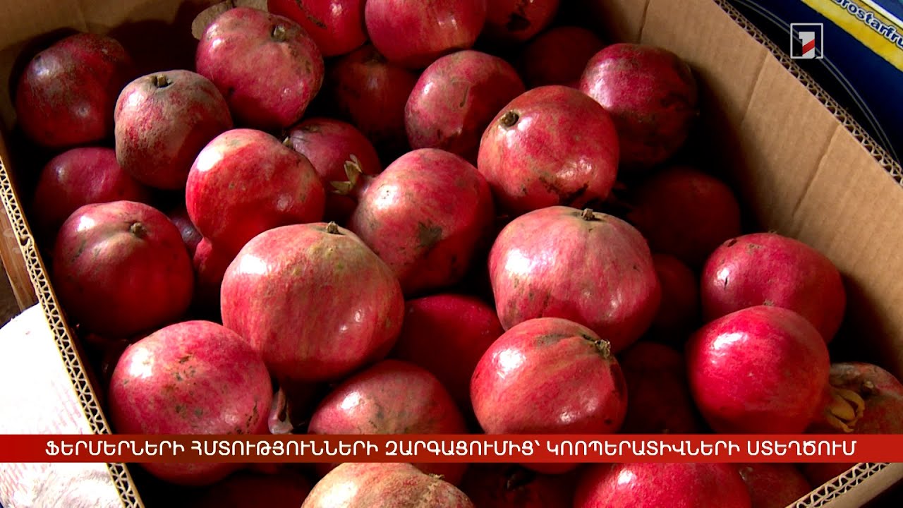 Ֆերմերների հմտությունների զարգացումից մինչև կոոպերատիվների ստեղծում՝ Լոռիում և Տավուշում