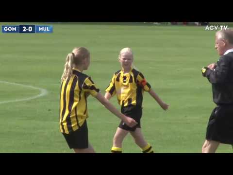 Samenvatting GOMOS-sv Mulier