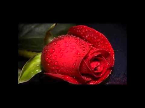 GUERRA DE AMOR YOSKAR SARANTE