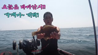 오늘은 바다낚시!!  가재미~ 대박!