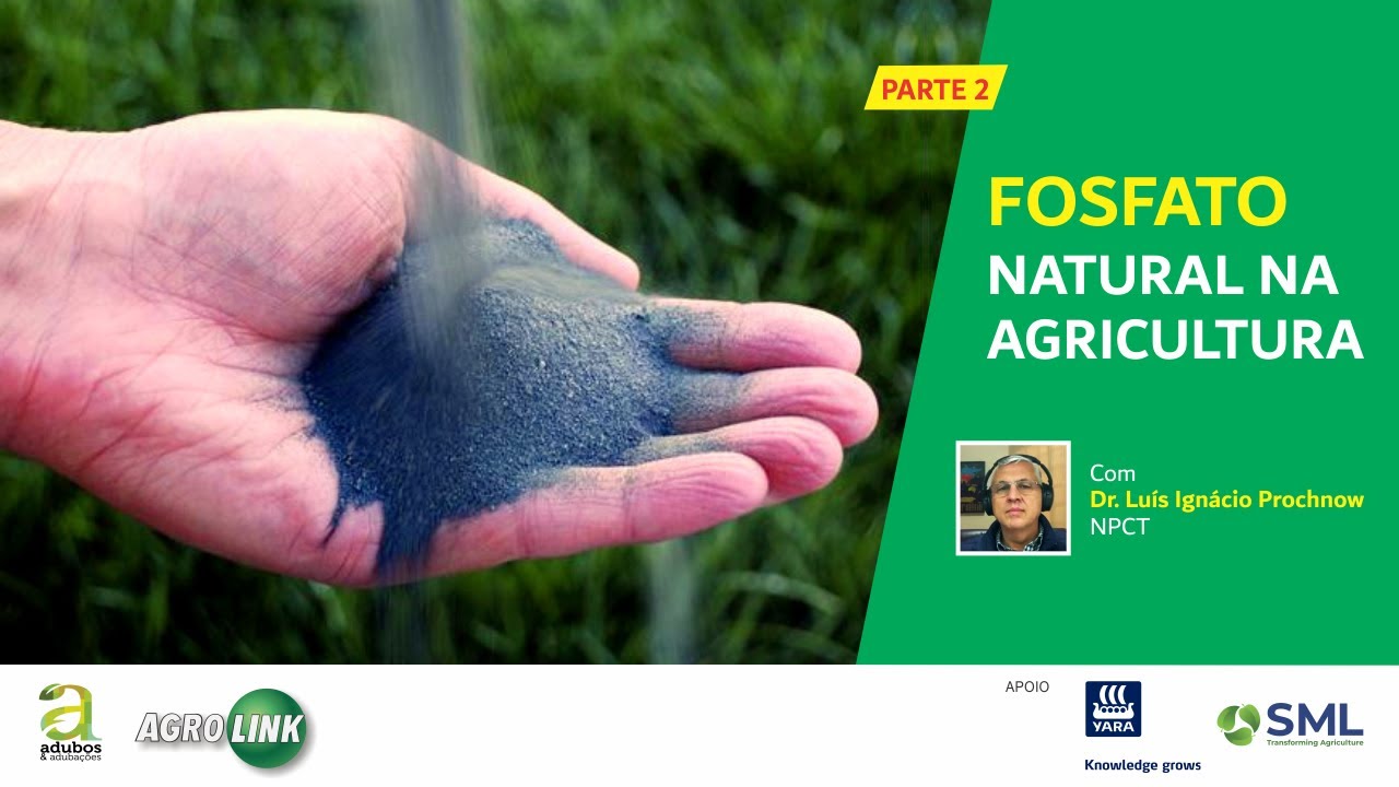 # 299 - PARTE 2 - FOSFATO NATURAL NA AGRICULTURA - ENTREVISTA COM DR. LUIS I. PROCHNOW
