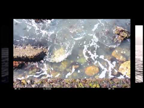 The Hidden Life Of Garbage