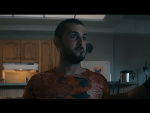 Frenchie being a high performance druggie for 1 minute