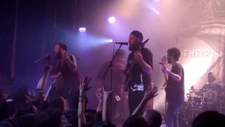 PROTEST THE HERO  -  Tilting Against Windmills  [HD] 17 JANUARY 2014