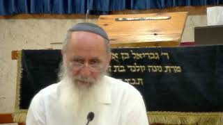 שיא החיים שהופך לשיא המוות – שיעור 71 – ספר במדבר