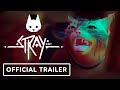 Stray - Official Launch Trailer