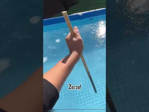 Niegrzeczna wydra dostała niespodziankę w basenie😍❤️ #cute #pets