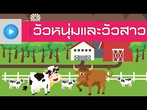 อวัยวะเพศชายน้อย สำหรับการฝึกอบรมความแข็งแรงดี