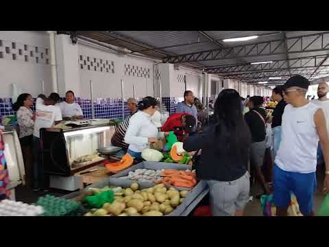 Feira de Esplanada Bahia