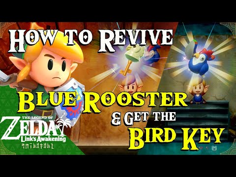 How i revived the Blue Rooster to get the Bird Key in Link's Awakening