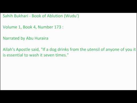 Dog's Lick is Impure