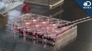 Will This New Stem Cell Treatment End The Controversy?