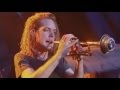 Soul Asylum - Caged Rat (Live)