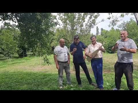 Mamed Mamedov - Avar Dambur Zaqatala Balaken Qabaqcol (2023)