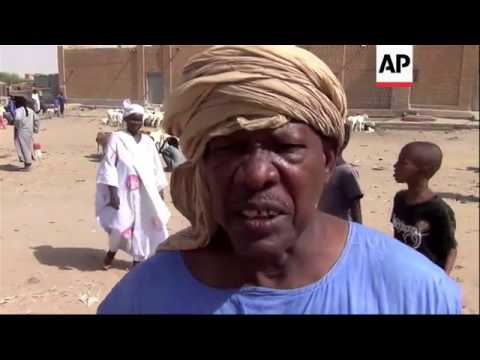 Sheep prices drop as traders return to Timbuktu