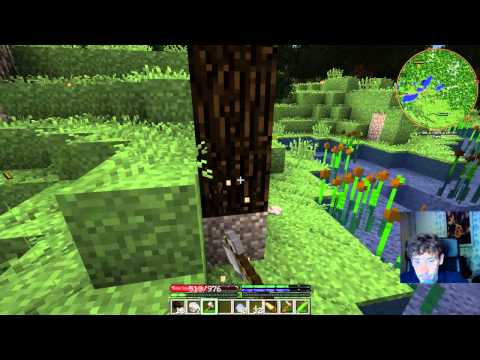 Minecraft Terrafirmacraft Livestream