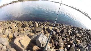 preview picture of video 'San Diego Fishing 2015: The Bait Master at Ventura Point.'