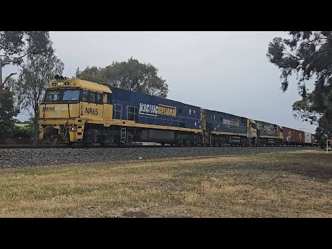 5PM5 PN up "Linfox Express #1" (NRs 65, 90, 104), Perth to Melbourne, 1633, 2/11/25, Horsham VIC 