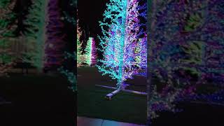 Bright London at new Year time