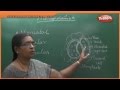 Structure Physiological Function Of Plants Biology 9th Std Science