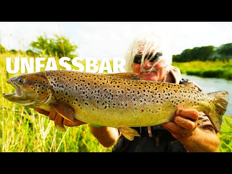 GIANT SEA TROUT ON A CONTINUOUS BARREL - Fishing on the AU with JÖRG OVENS