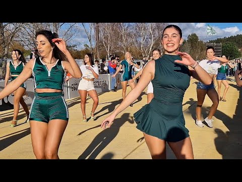 Vai Quem Quer - pt2 @Ensaio Técnico - Carnaval Estarreja 2025 @PlaytekTv