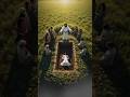 Jesus Raises The Dead A Powerful Miracle Of Resurrection