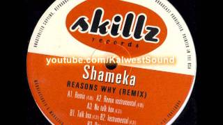 Shameka - Reasons Why (Remix) (1999)