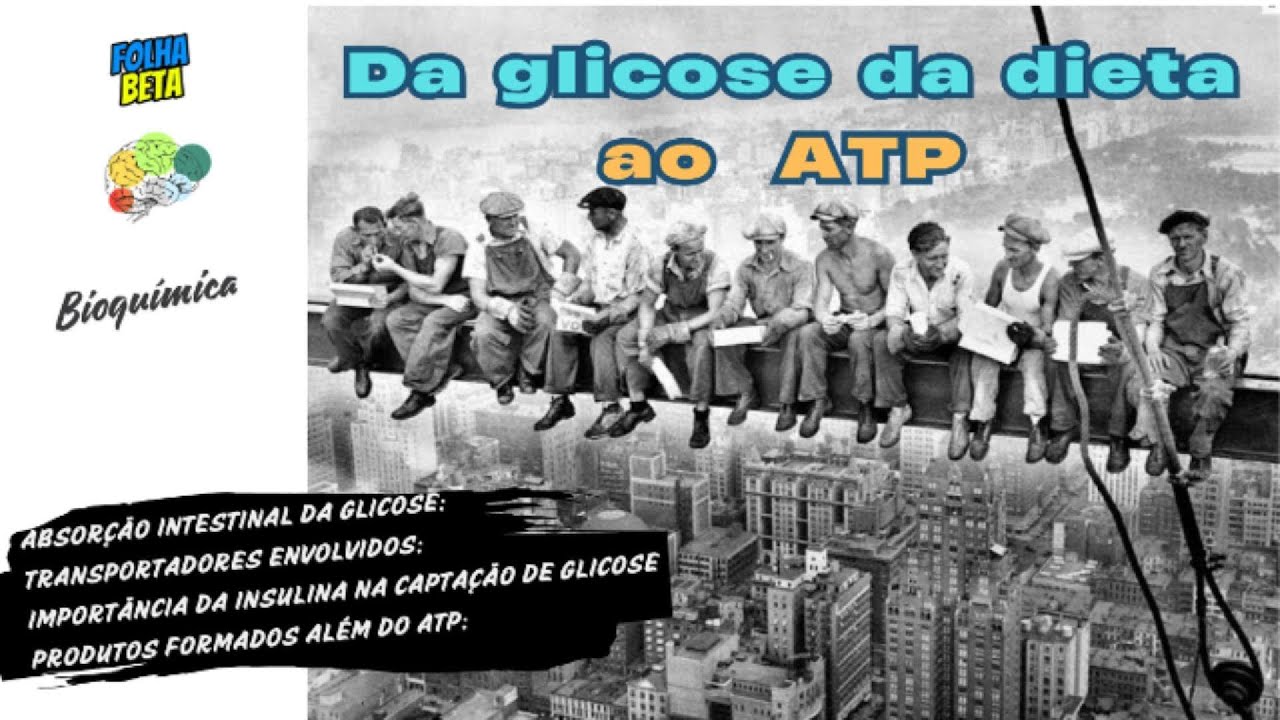 Da glicose ao ATP