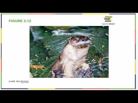 Biology 181 Chapter 3 OpenStax