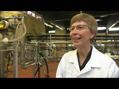 Bio Base Europe Pilot Plant on Haven TV Gent - 2.07.2015