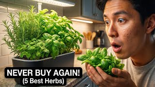 The Cheapest Way to Have Fresh Herbs Every Single Day