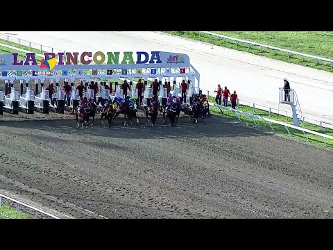 11th race | 5th race | 6th International Classic "FPHV" | Padel | La Rinconada | 2025