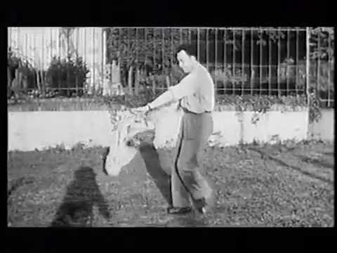Albert Camus: The Madness of Sincerity