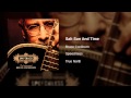 Bruce Cockburn - Salt Sun And Time