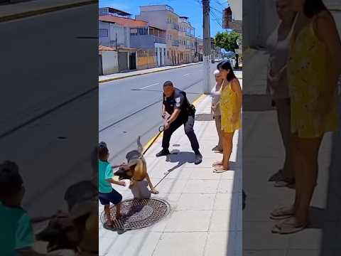 K9 Sente Cheiro da Explosão e Salva Criança Segundos Antes | NOVO VÍDEO INCRÍVEL!!!