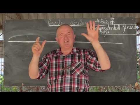 Lectia 1061 - Povestea cifrelor - Corespondentul unei cifre: numarul de obiecte ale unei multimi