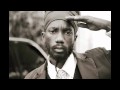 Capleton feat Sizzla - Vibes