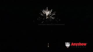 NYCTALIGHT 150 RAN