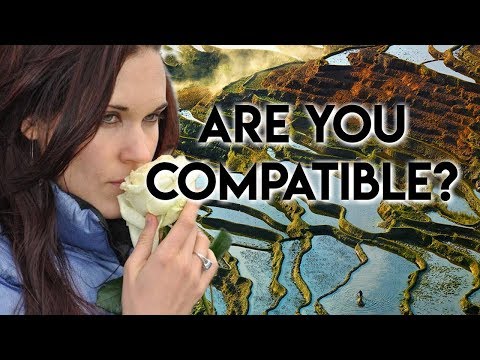 Incompatibility (A Harsh Reality in Relationships) - Teal Swan