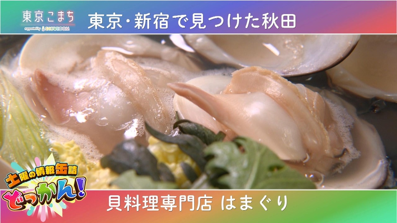 秋田県出身の店主が営む新宿区の貝料理専門店を紹介🐚「土曜の情報缶詰どっかん！」♪東京こまち supported by SHOWROOM♪2026年3月28日放送