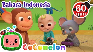Download lagu Mengenal Keluarga Jari Tangan🖐️ | CoComelon Bahasa Indonesia - Lagu Anak Anak | Nursery Rhymes mp3 Download lagu Mengenal Keluarga Jari Tangan🖐️ | CoComelon Bahasa Indonesia - Lagu Anak Anak | Nursery Rhymes mp3