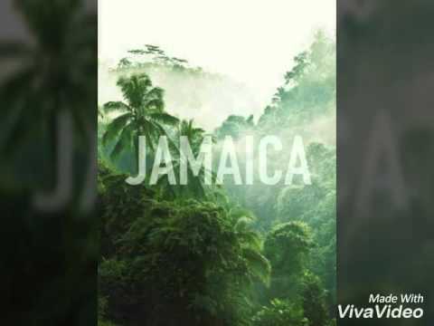 Kali Gibbs - Do 3 x sztuka - tekst