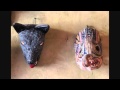 Mexican Masks Andrei Krylov Guitar Music from Gypsy Caravan
