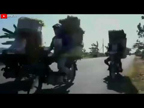 Motor GP 2019 Joss #MotorGP #2019 #GP