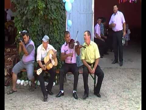 dant osanesc din turt - vasile vasaloie