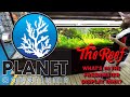 315 GALLON FRESHWATER PLANTED RAINBOWFISH DISPLAY TANK Check It Out At THE REEF AQUARIUM SHOP