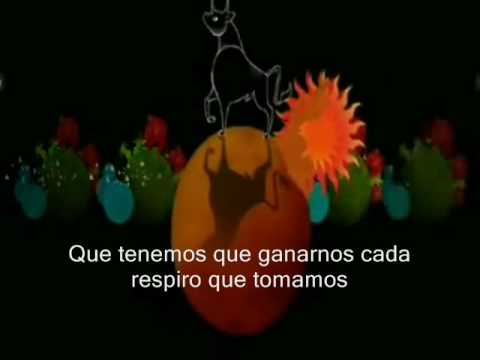 Animal City - Shakira (Subtitulada al español)
