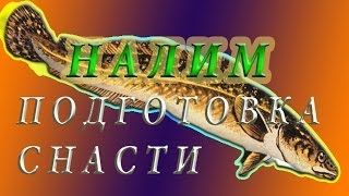 Снасть с берега на налима