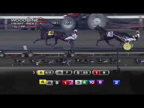 Woodbine, Sbred, Jan. 16, 2017 Race 2